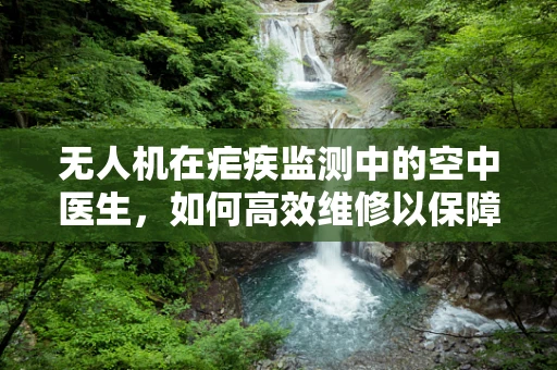 无人机在疟疾监测中的空中医生，如何高效维修以保障疟疾疫区监测的连续性？