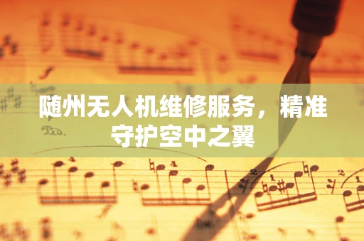 随州无人机维修服务，精准守护空中之翼