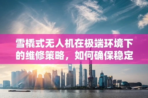 雪橇式无人机在极端环境下的维修策略，如何确保稳定飞行？
