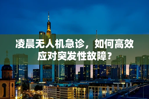 凌晨无人机急诊，如何高效应对突发性故障？