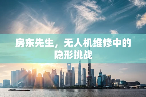 房东先生，无人机维修中的隐形挑战