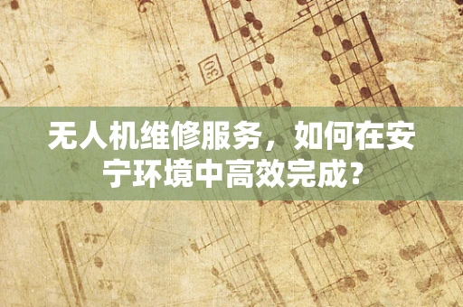 无人机维修服务，如何在安宁环境中高效完成？