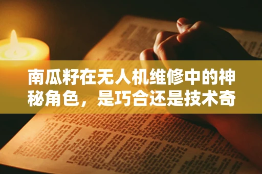 南瓜籽在无人机维修中的神秘角色，是巧合还是技术奇缘？
