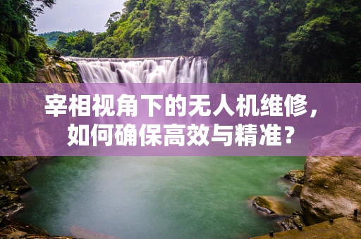宰相视角下的无人机维修，如何确保高效与精准？