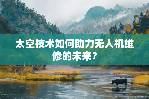 太空技术如何助力无人机维修的未来？