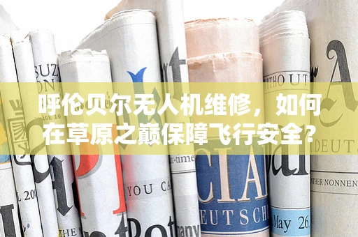 呼伦贝尔无人机维修，如何在草原之巅保障飞行安全？