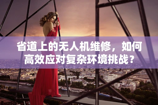 省道上的无人机维修，如何高效应对复杂环境挑战？