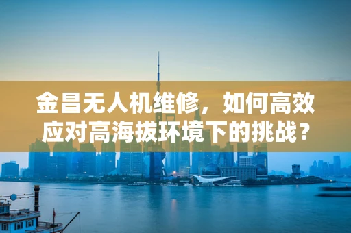 金昌无人机维修，如何高效应对高海拔环境下的挑战？