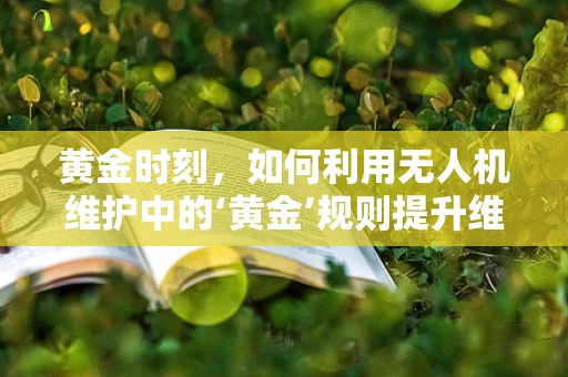 黄金时刻，如何利用无人机维护中的‘黄金’规则提升维修效率？