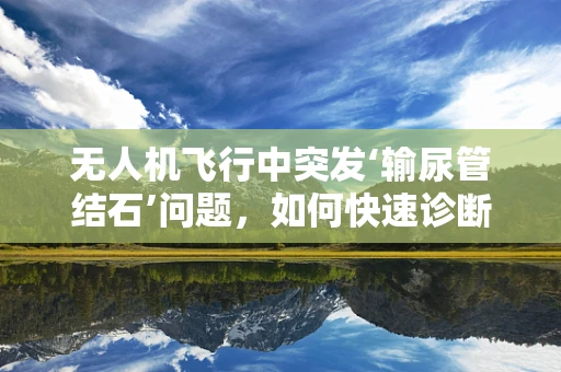 无人机飞行中突发‘输尿管结石’问题，如何快速诊断与应对？