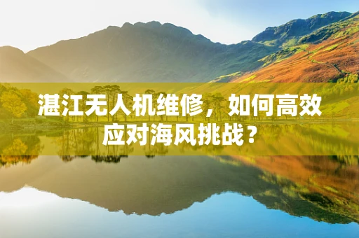 湛江无人机维修，如何高效应对海风挑战？