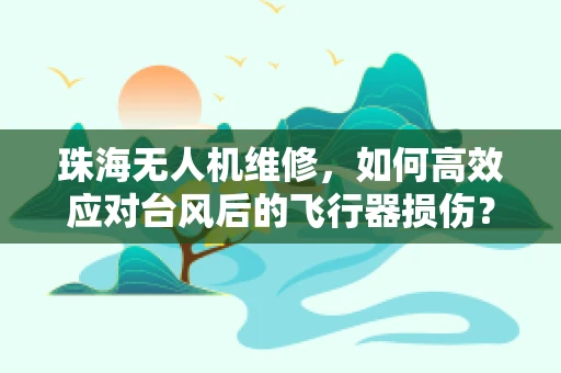 珠海无人机维修，如何高效应对台风后的飞行器损伤？
