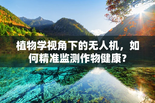 植物学视角下的无人机，如何精准监测作物健康？