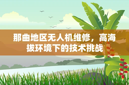 那曲地区无人机维修，高海拔环境下的技术挑战