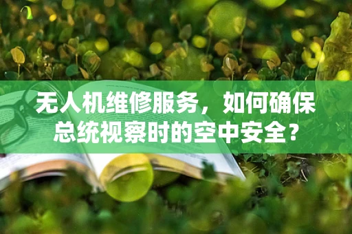 无人机维修服务，如何确保总统视察时的空中安全？
