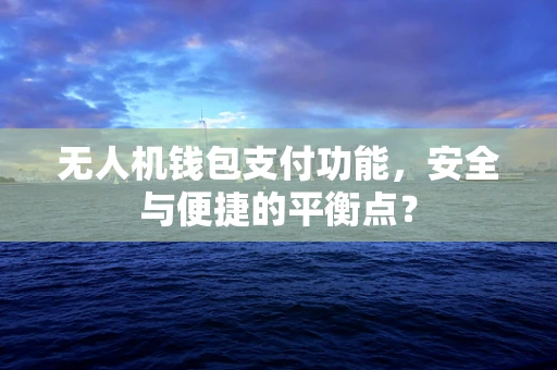 无人机钱包支付功能，安全与便捷的平衡点？