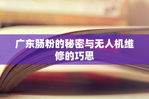 广东肠粉的秘密与无人机维修的巧思