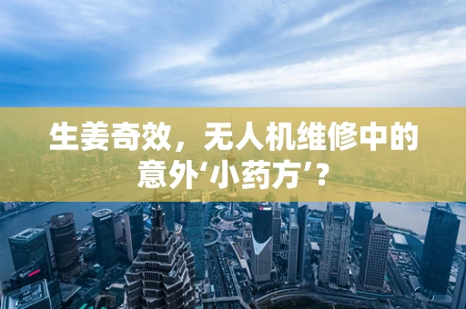 生姜奇效，无人机维修中的意外‘小药方’？
