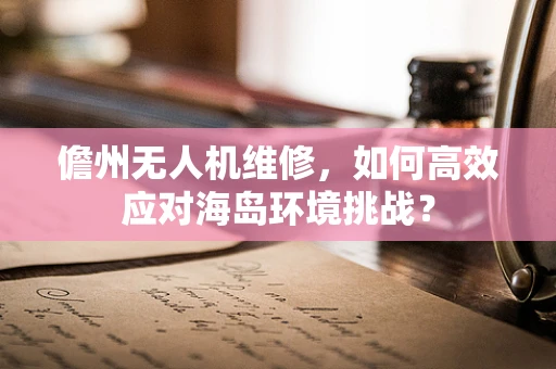 儋州无人机维修，如何高效应对海岛环境挑战？