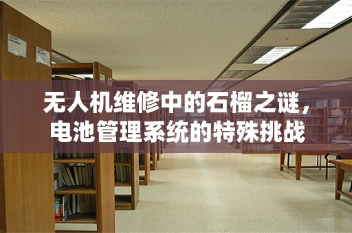 无人机维修中的石榴之谜，电池管理系统的特殊挑战