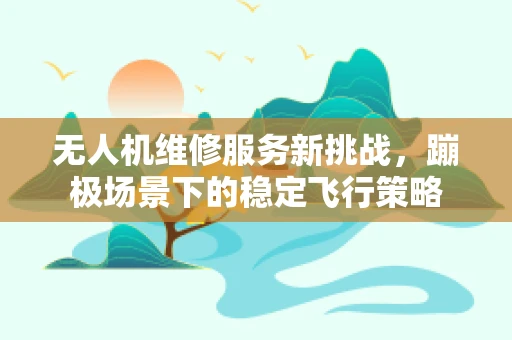 无人机维修服务新挑战，蹦极场景下的稳定飞行策略