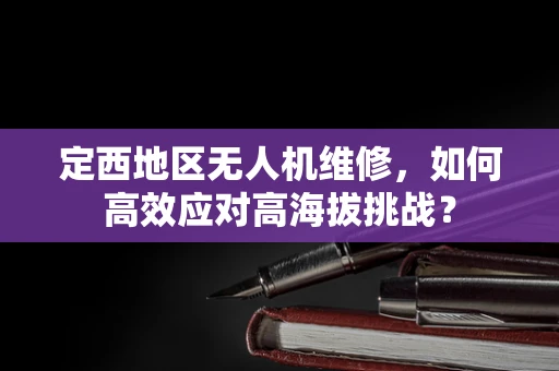 定西地区无人机维修，如何高效应对高海拔挑战？
