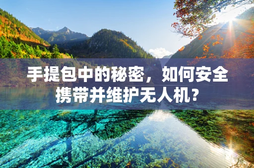 手提包中的秘密，如何安全携带并维护无人机？