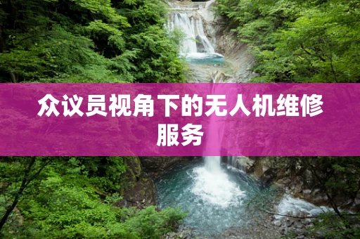 众议员视角下的无人机维修服务