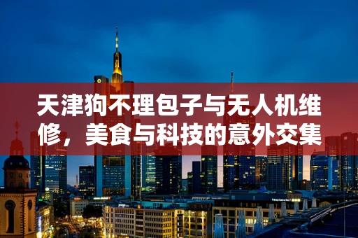 天津狗不理包子与无人机维修，美食与科技的意外交集