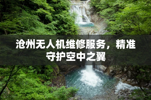 沧州无人机维修服务，精准守护空中之翼