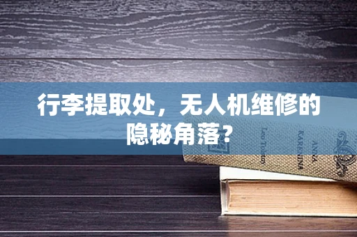 行李提取处，无人机维修的隐秘角落？