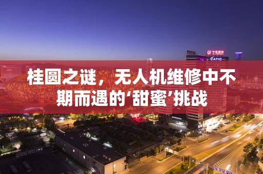 桂圆之谜，无人机维修中不期而遇的‘甜蜜’挑战