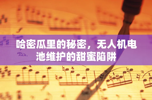 哈密瓜里的秘密，无人机电池维护的甜蜜陷阱