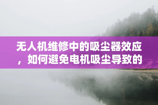 无人机维修中的吸尘器效应，如何避免电机吸尘导致的性能下降？