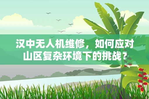 汉中无人机维修，如何应对山区复杂环境下的挑战？