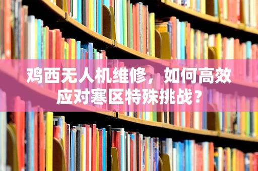 鸡西无人机维修，如何高效应对寒区特殊挑战？