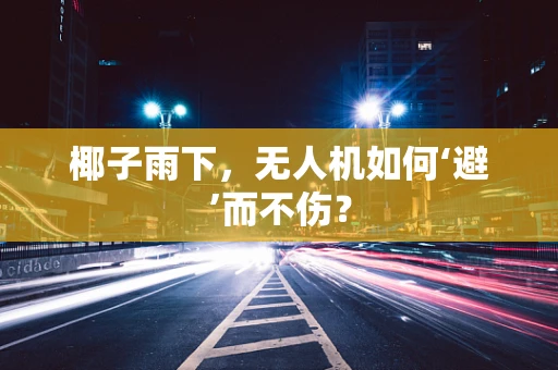 椰子雨下，无人机如何‘避’而不伤？
