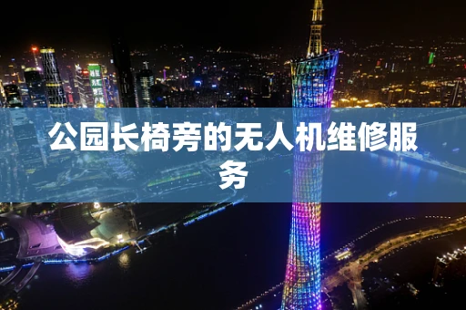公园长椅旁的无人机维修服务