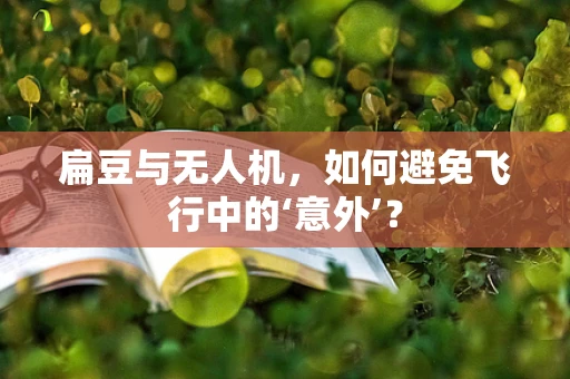 扁豆与无人机，如何避免飞行中的‘意外’？