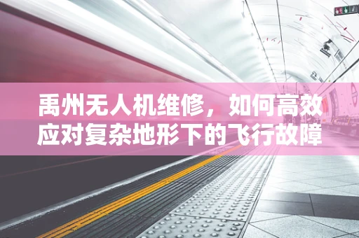 禹州无人机维修，如何高效应对复杂地形下的飞行故障？