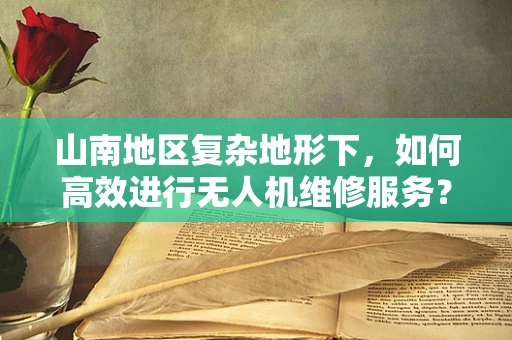 山南地区复杂地形下，如何高效进行无人机维修服务？