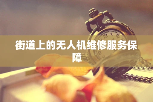 街道上的无人机维修服务保障