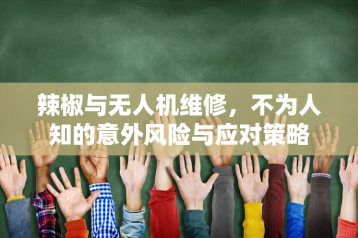 辣椒与无人机维修，不为人知的意外风险与应对策略
