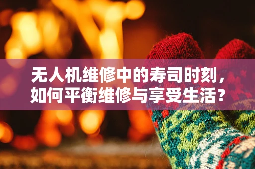无人机维修中的寿司时刻，如何平衡维修与享受生活？