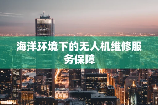 海洋环境下的无人机维修服务保障