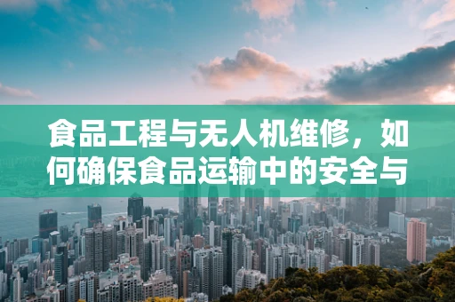 食品工程与无人机维修，如何确保食品运输中的安全与效率？