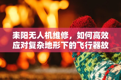 耒阳无人机维修，如何高效应对复杂地形下的飞行器故障？