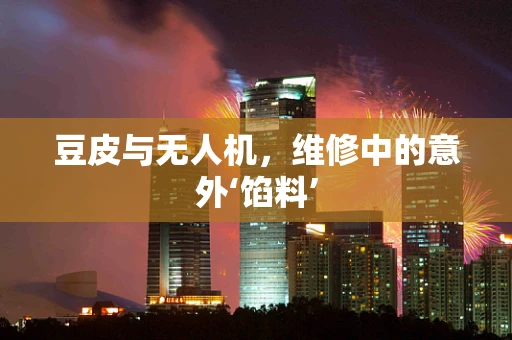豆皮与无人机，维修中的意外‘馅料’