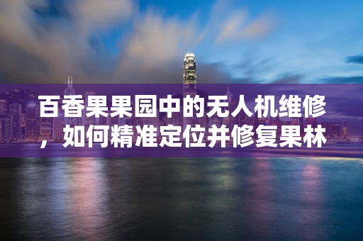百香果果园中的无人机维修，如何精准定位并修复果林监测中的‘空中眼睛’？