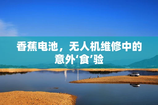 香蕉电池，无人机维修中的意外‘食’验